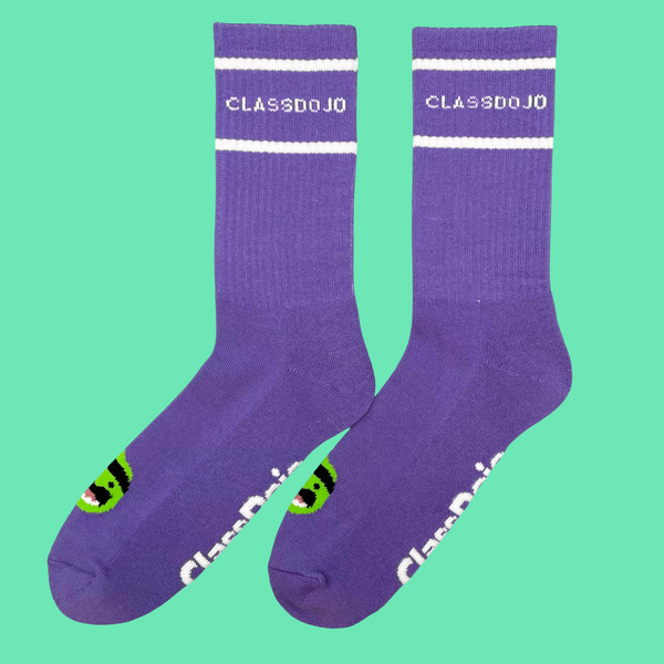 ClassDojo socks