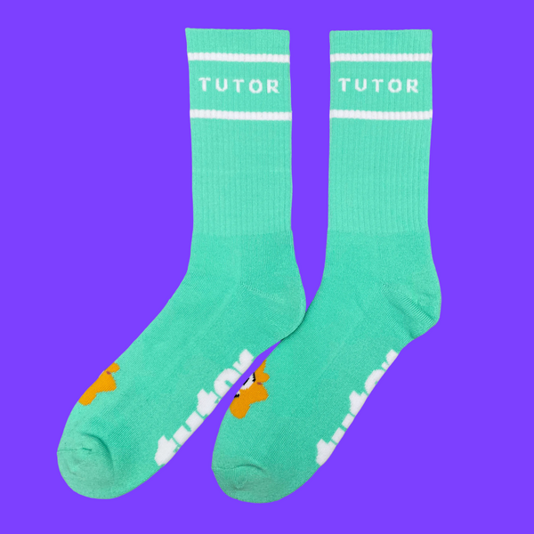 Dojo Tutor socks